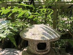 -北京东方普罗旺斯薰衣草庄园