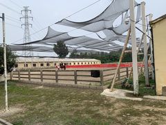 -北京群众马术培训基地