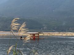 -腾冲北海湿地