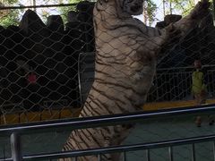 -泉州海丝野生动物世界