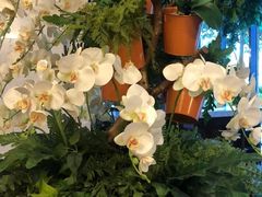 -上海虹桥西郊假日酒店