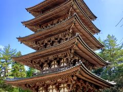 -醍醐寺