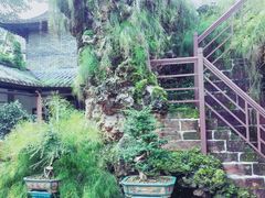 -东莞市可园博物馆