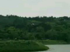-广西壮族自治区药用植物园