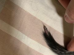 -芭比堂宠物医院·全科爱猫医院·仁德分院