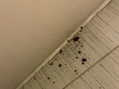 -三亚海棠湾万丽度假酒店