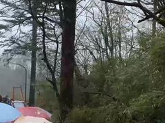 -峨眉山风景名胜区