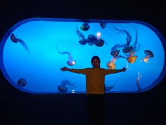 -太平洋海底世界博览馆·展览厅