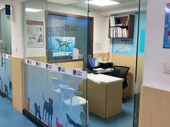 -宠颐生猫科·内科皮肤科(西平世纪城店)