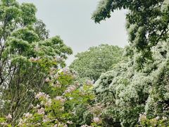 -国家植物园南园