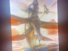 -星河寰宇IMAX影城(星河WORLD·COCO Park店)