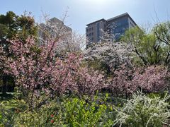 -黄兴公园