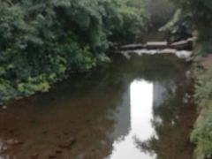 -重庆彩云湖湿地公园