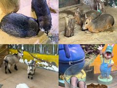 -正佳雨林生态植物园