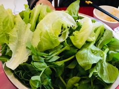 现摘青菜-老字号家林羊肉火锅