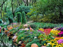 -上海共青森林公园