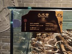 -乐山乌木文化博览苑