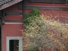 -钱王祠