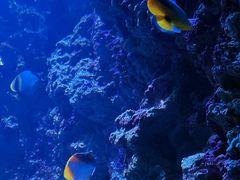 -海合安青岛极地海洋公园