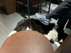 -Onirii Coffee(长乐路店)