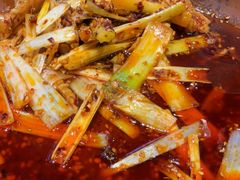 -百菇园野生菌煲(平武店)