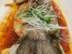 清蒸石斑鱼-海宝酒家(中山四路店)
