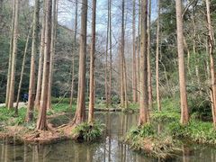 -虎跑公园