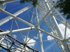 -哈尔滨文化公园