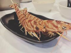-鲜入围煮花胶鸡海鲜火锅