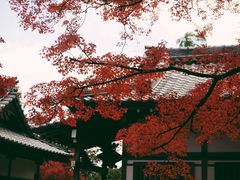 -常寂光寺