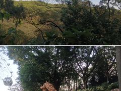 -广州市白云山风景名胜区