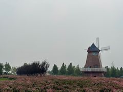 -君乐宝优致牧场