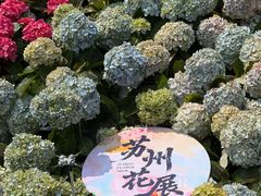 -苏州上方山国家森林公园