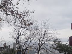 -灵顺寺