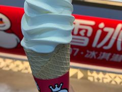 -蜜雪冰城(武陵阁步行街店)