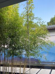 -爱儿美儿童摄影(朝阳公园店)