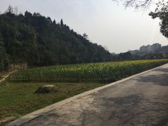 -贵阳市花溪国家城市湿地公园