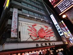 -道顿堀水上观光船(太左衛門橋船着場)