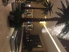 环球恐龙城维景国际大酒店-常州环球恐龙城维景国际大酒店