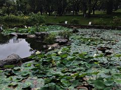 -四海公园(南山区)