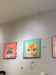 -洗脸猫·洗脸吧