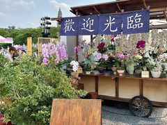 -顺峰山公园