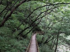 -青峰峡国家森林公园