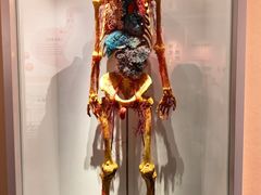 -陕西自然博物馆