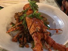 -Onion restaurant