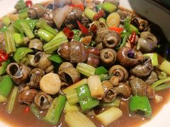 清水田螺-龙浔虾欢(祥岭路店)