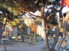 -沈阳辉山风景区