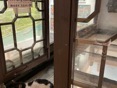 -猫的天空之城概念书店(杭州南宋御街店)