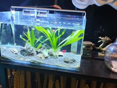 -华夏良子·足道SPA养生(上海崮山路明悦店)