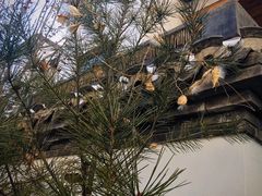 -古北水镇乌镇会精品酒店